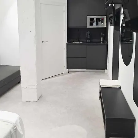 Alcazaba Modern Y Luxury Apartment *